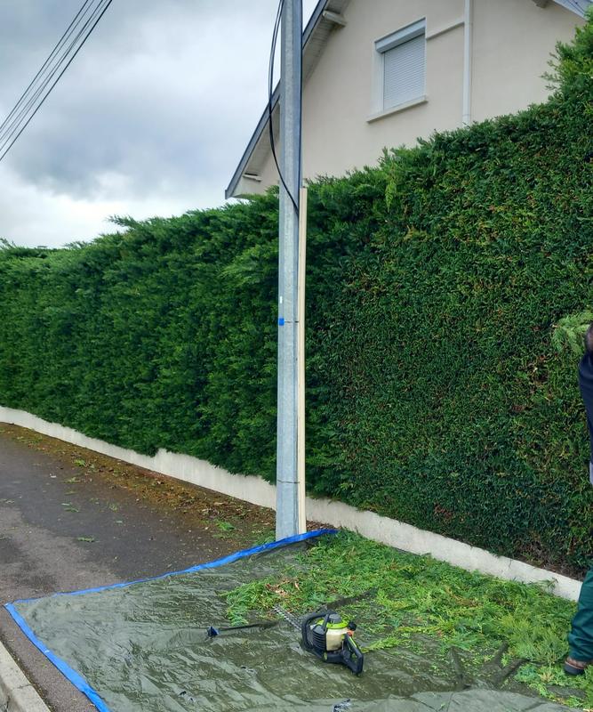 Taille de haie par Entreprise AD