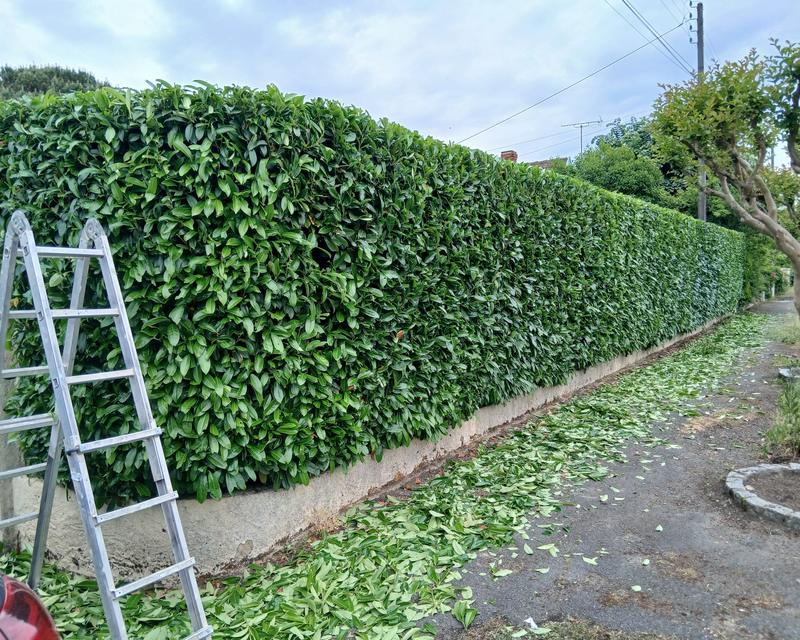Entretien d'espaces verts en Côte-d'Or
