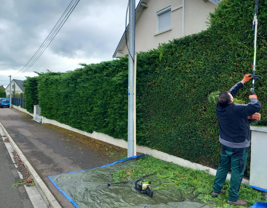Élagage et entretien d'espaces verts à Dijon